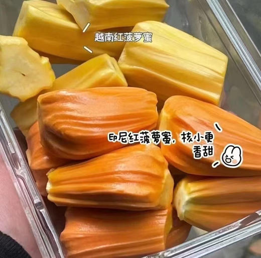 越南红肉菠萝蜜 商品图5
