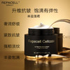 REPACELL瑞铂希德国【丰盈面霜50ml】 商品缩略图4