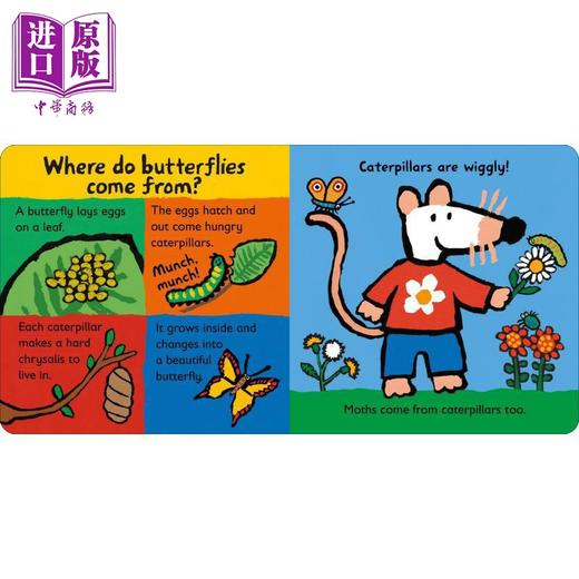 【中商原版】Lucy Cousins 英文原版 小鼠波波星球书系列儿童纸板书6册 Maisy Loves 小鸟Birds 玩水Water 蜜蜂Bees 小树Trees 商品图2