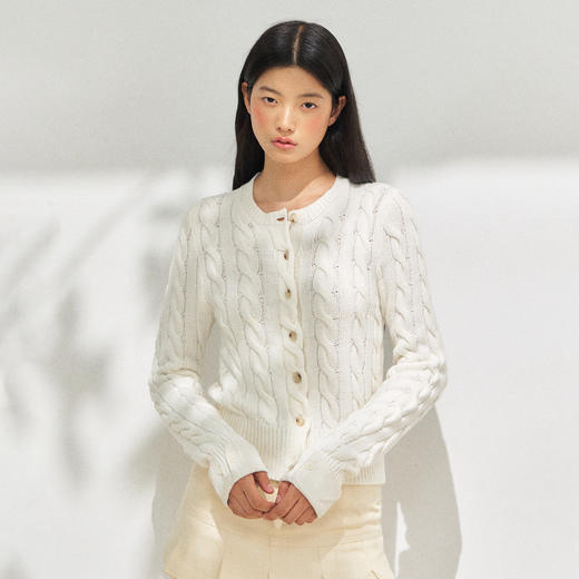 Ariseism 美式复古绞花毛衣女秋季新款修身针织上衣 商品图0