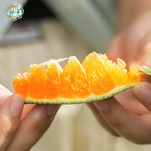 橙诵江西寻乌蜜桔 3-4.5斤装 橘子新鲜水果 顺丰/京东直发 商品图2