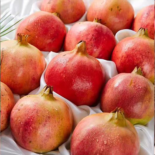 【分销】四川会理软籽石榴  清新不腻口，生态种植，清甜多汁 商品图5