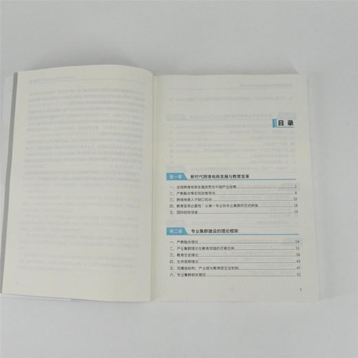 应用型跨境电商专业集群建设研究与实践 跨境电商电商产教融合人才短缺人才培养理论实践路径 产业经管书籍 商品图1