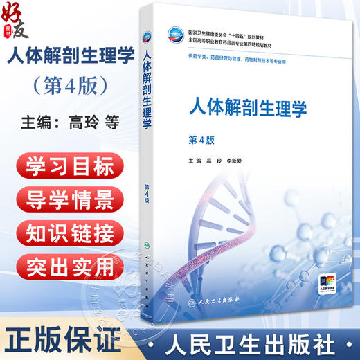 人体解剖生理学 第4四版 十四五规划教材全国高等职业教育药品类专业第四轮规划教材 高玲 李新爱 供药学类等专业用人民卫生出版社 商品图0