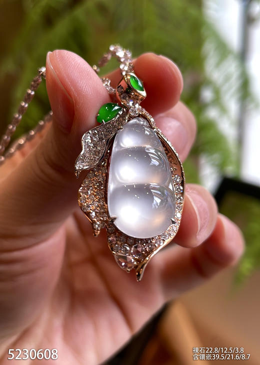 5230608，福豆吊坠。具体价格微信咨询 商品图1