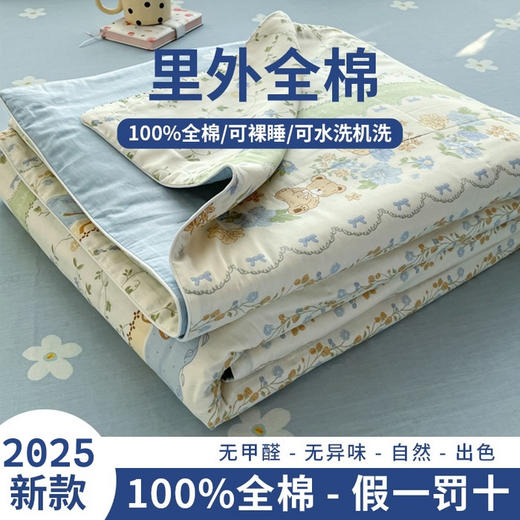 三泰龙 里外全棉新疆棉花芯春秋双人被【春秋被】 商品图6