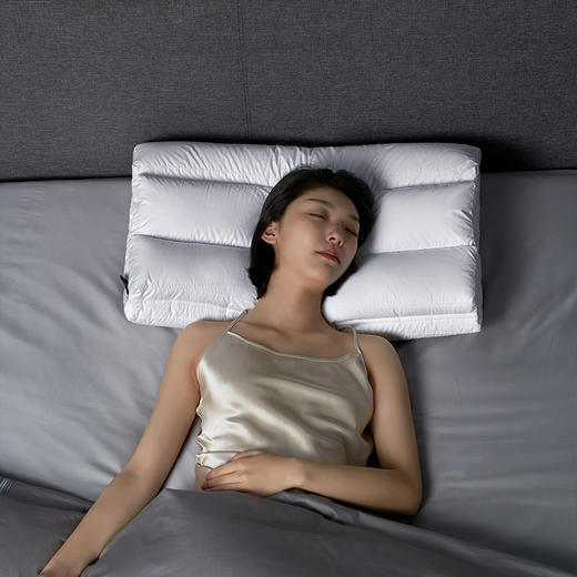 罗莱健康ISEMOOD倚时 随心调高or中枕 （送随心调基础款枕套灰色）送完即止，先到先得 商品图1