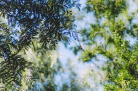 秋季脾胃小测试