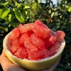 佐禧佑福 福建平和红心红肉柚子应季时令水果（顺丰发货） 商品缩略图2