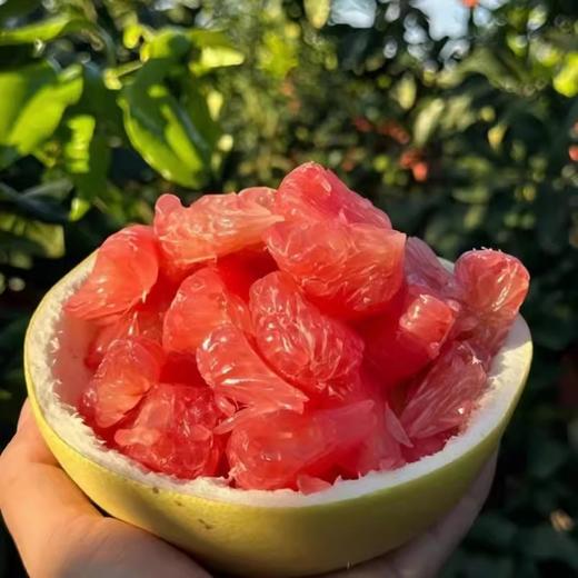 佐禧佑福 福建平和红心红肉柚子应季时令水果（顺丰发货） 商品图2