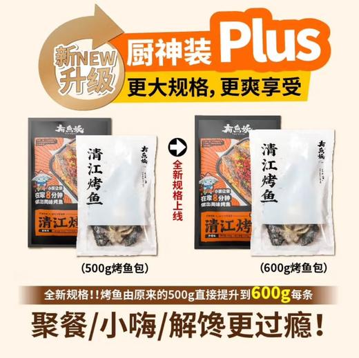 有鱼妖清江烤鱼升级PLUS家庭装 商品图1