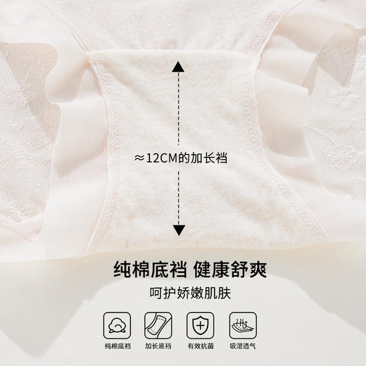 ALDOLA/雅黛俪高腰收腹内裤女10A抑菌纯棉加长裆性感蕾丝三角裤 商品图4