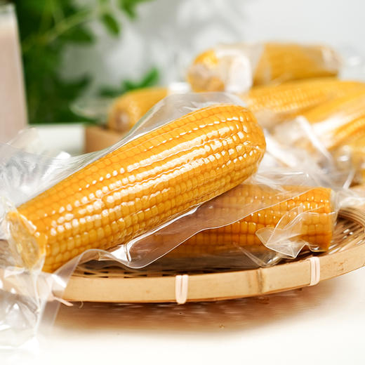 【有机认证，当季头茬】坤予东北黑土地种植有机 甜糯玉米200g*10棒 商品图2