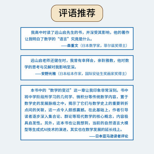 数学与生活5：数学的历史、现代与方法 日本数学教育名家远山启的通俗数学史 讲明现代数学的全部意义 商品图4
