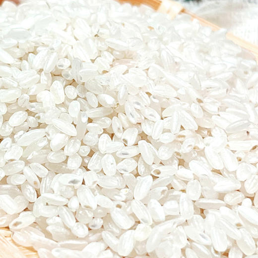 珍粒香我在村口有块田礼盒5kg 商品图4