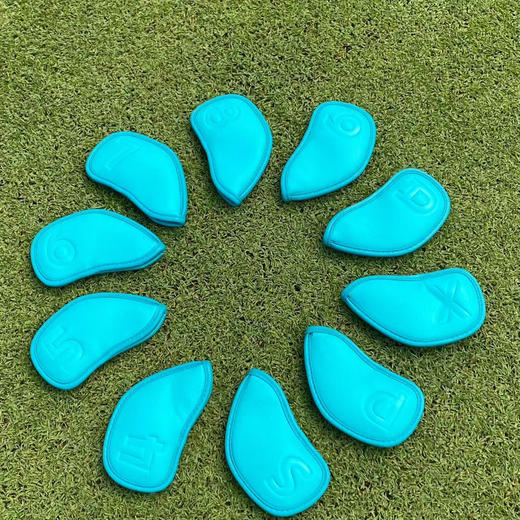 外贸订单剩余铁杆套，两个色，进口pu 材质。一套十个。
特价💰128 商品图0