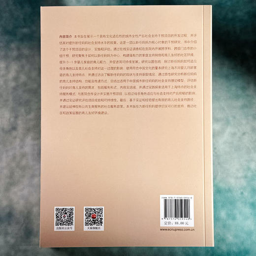 携手共进 新任妈妈育儿社会支持的干预研究 何姗姗 女性产后社会支持 商品图2