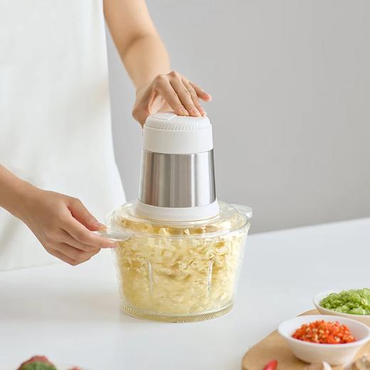 olayks.立时2L多功能绞肉机OLK-LP-21 商品图6