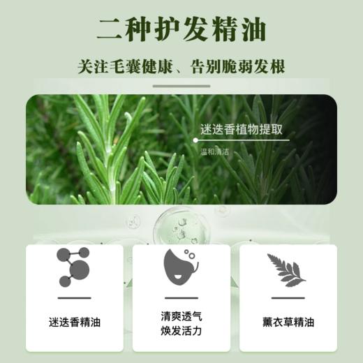 芙本天然侧柏叶核桃榧子洗发皂 商品图4