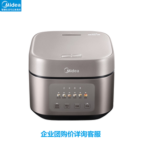 美的 电饭煲MB-TQ453SZ