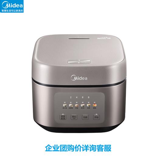 美的 电饭煲MB-TQ453SZ 商品图0