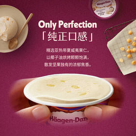 哈根达斯（Haagen-Dazs）夏威夷果仁大桶冰淇淋 473ml/桶 家庭装 雪糕