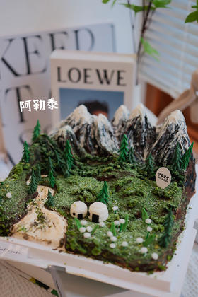 微景观蛋糕 提前一周预定 下单前请仔细阅读商品详情