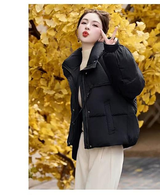 【孤品捡漏】（样衣）羽绒服G90黑色短款90%白鸭绒羽绒服-喜出 商品图0