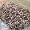 湘西永顺·非遗紫金莓茶 | 只采头春头采的芽头 紫度达到80%以上，数量极其稀缺！越喝嗓子越滋润 黄酮花青素营养 商品缩略图6