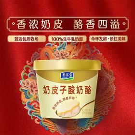 君乐宝120g奶皮子酸奶酪