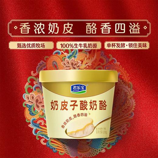 君乐宝120g奶皮子酸奶酪 商品图0