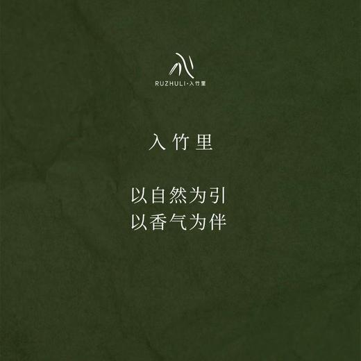 RUZHULI入竹里四时之诗车载香薰汽车香挂香氛男女朋友情人节礼物 商品图1