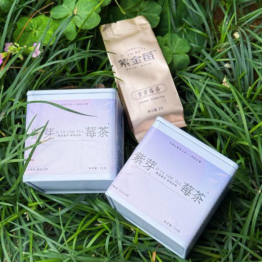 湘西永顺·非遗紫金莓茶 | 只采头春头采的芽头 紫度达到80%以上，数量极其稀缺！越喝嗓子越滋润 黄酮花青素营养 商品图4