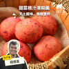 生态甜菜根餐包(面包,方野厨房) | 绿家自产 *Ecological beetroot meal bag | Self-production 商品缩略图0
