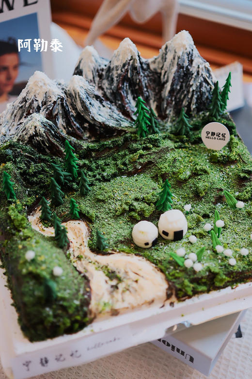 微景观蛋糕 提前一周预定 下单前请仔细阅读商品详情 商品图2