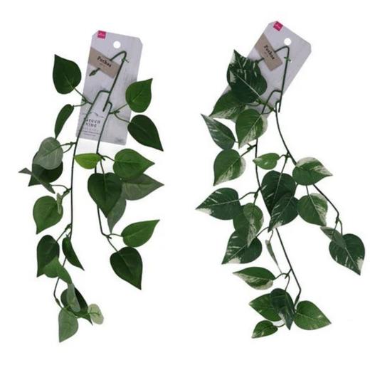 大创DAISO.波多斯藤 商品图0