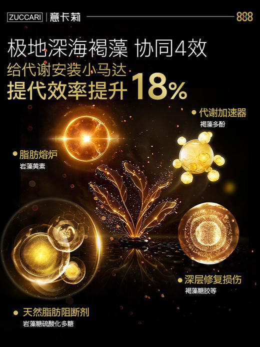 ZUCCARI 久坐腰腹肥胖组合：2.0金装版888代谢饮+腰腹管理饮 商品图4