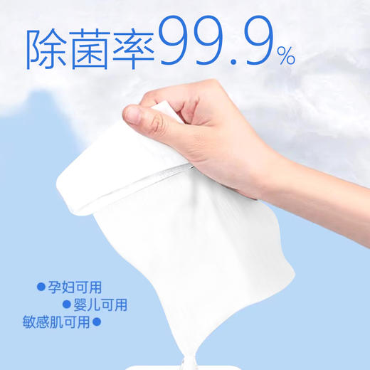 【超值5包装】佰仕利 湿厕纸 如厕专用 洁净卫生 80片/包 商品图1