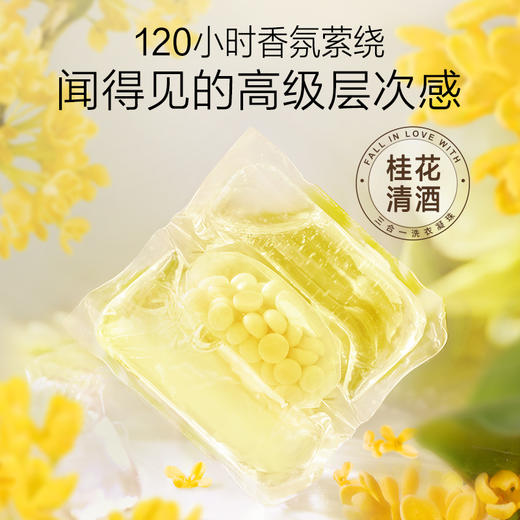 绽家洗衣凝珠23颗装 | 三效合一清洁力、深层去渍同时持久留香、柔护衣物 商品图2