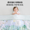 BUBBLE TREE婴儿四季被子儿童通用空调被新生宝宝盖被春秋夏幼儿园FX 商品缩略图4