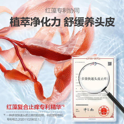 b2v红藻专研洗发水(止痒祛屑)220ml 商品图4