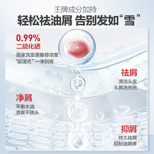 b2v红藻专研洗发水(止痒祛屑)220ml 商品图5