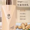 圣姿兰生姜洗发乳控油浓密润泽清爽去屑焕发活力去油止痒 生姜洗发乳300mL 商品缩略图0