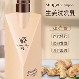圣姿兰生姜洗发乳控油浓密润泽清爽去屑焕发活力去油止痒 生姜洗发乳300mL