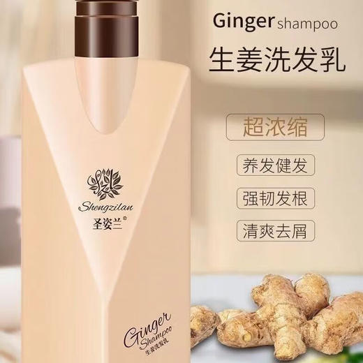 圣姿兰生姜洗发乳控油浓密润泽清爽去屑焕发活力去油止痒 生姜洗发乳300mL 商品图0