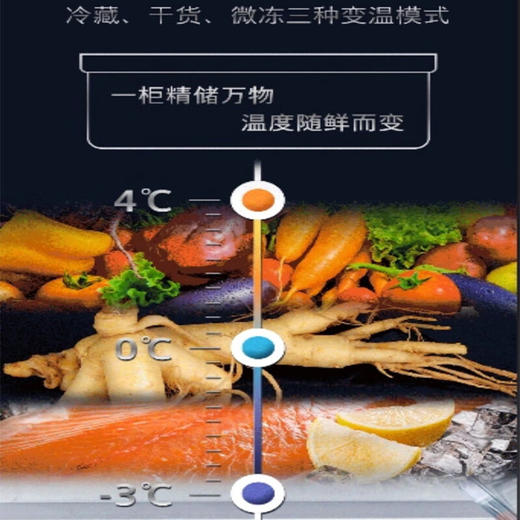 西门子（SIEMENS）十字对开门平嵌冰箱503升大容量存储 抗菌净味 智能抗冷凝技术 三种变温储鲜 玻璃面板 KC88EA256C 湖蕴蓝 商品图5