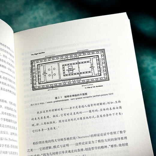 美与教育 教师教育哲学译丛 科学与数学教育之美 商品图9