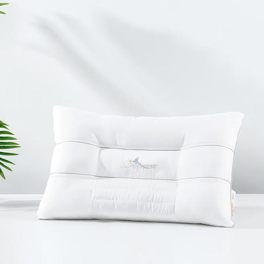 孚日家纺 决明子香氛枕 商品图0