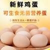 25年广东农垦垦区可生食鸡蛋30枚/箱 *3【LXGWDXY2.0】 商品缩略图3