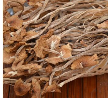 神农架【汇野】茶树菇 300g/袋 商品图1